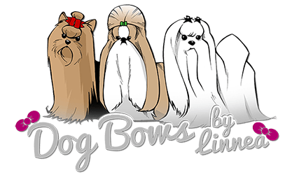 where to buy dog bows